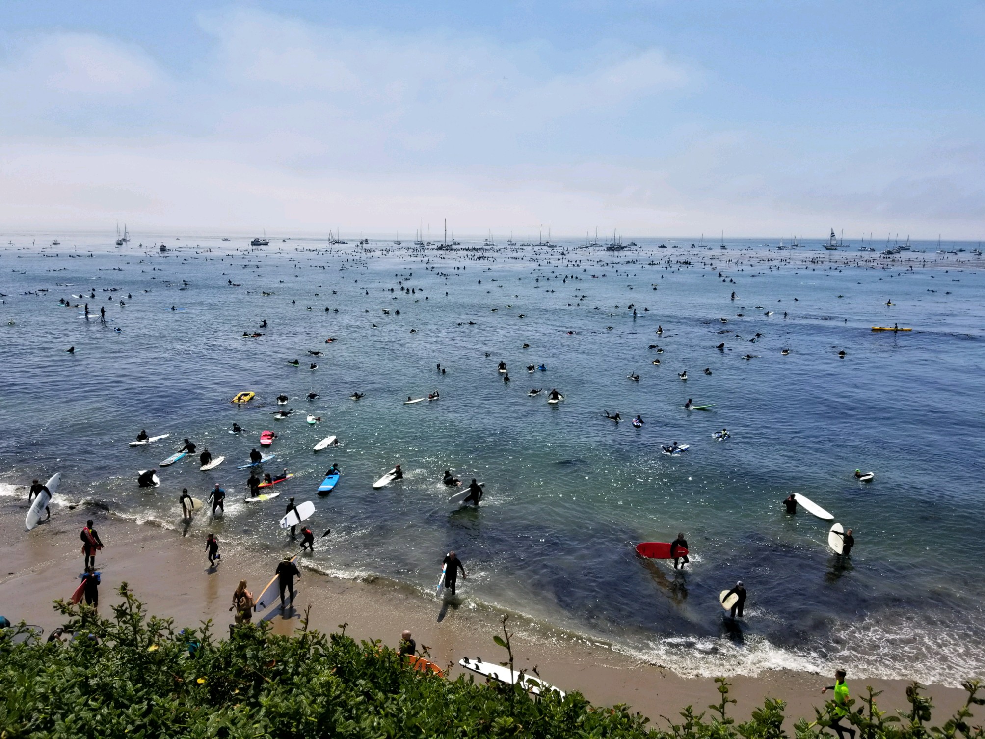 Honoring Jack O Neill Thousands paddle out in Santa Cruz