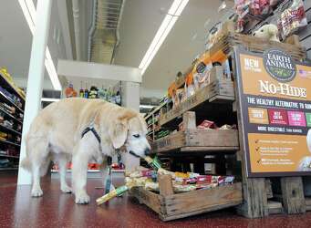 Pet Pantry Opens Second Greenwich Shop Greenwichtime