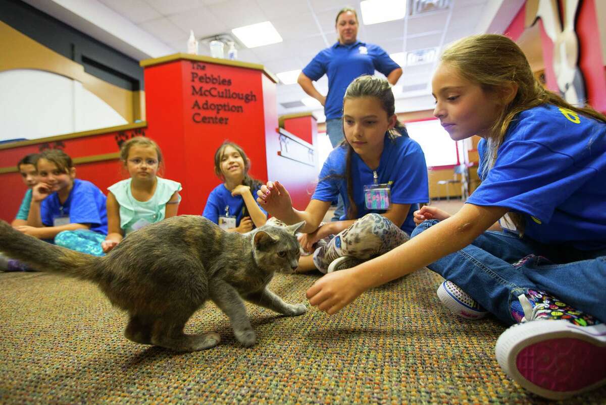 Local kids learn about rescued animals during the Houston SPCA Critter Camp