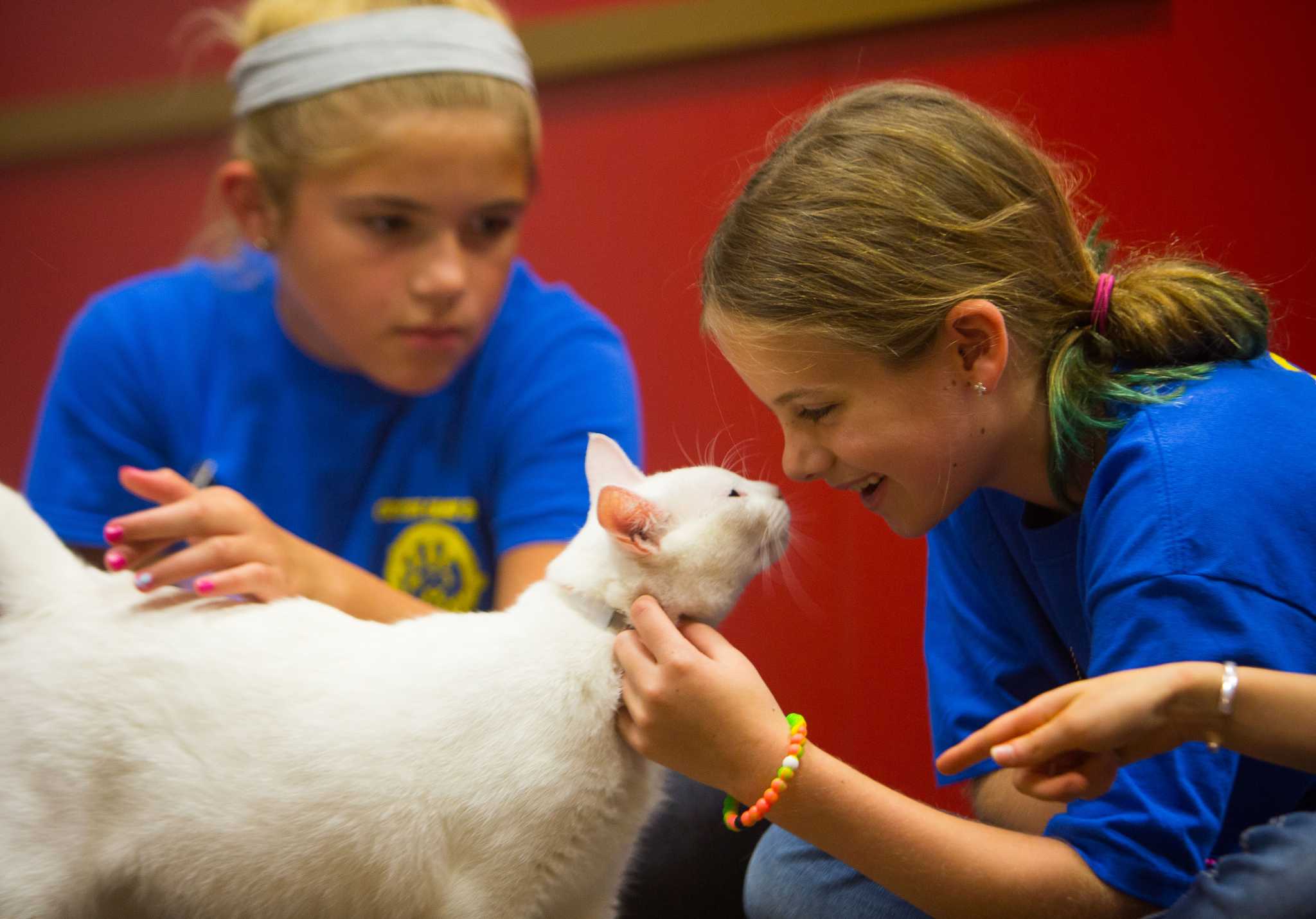 Local kids learn about rescued animals during the Houston SPCA Critter Camp
