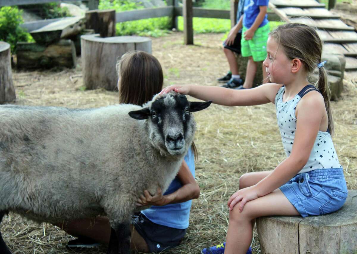 Ayla Ciano-Buckley pets a goat at Ambler Farm during its summer program, “Adventures at the Farm, on Wednesday, July 12, 2017.