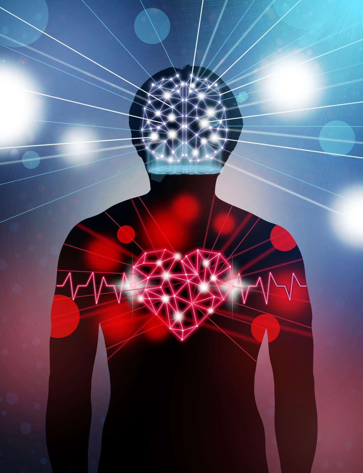 Silhouette of human body with technology line and dot of polygonal shape brain and heart, Science healthy education concept, physician technology with network connections and science healthy concept