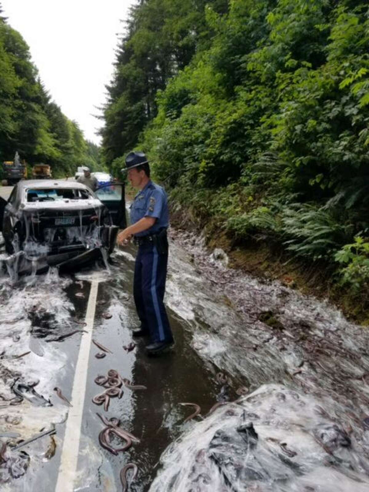 Accident Highway 101 Today - x2qtfs6