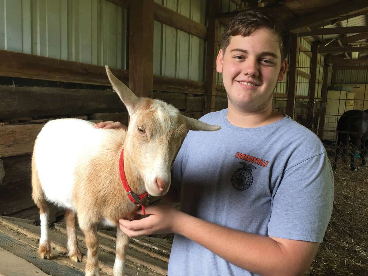 EHS student Trevor Huene with one of his goats on Arrow Mark Farm.
