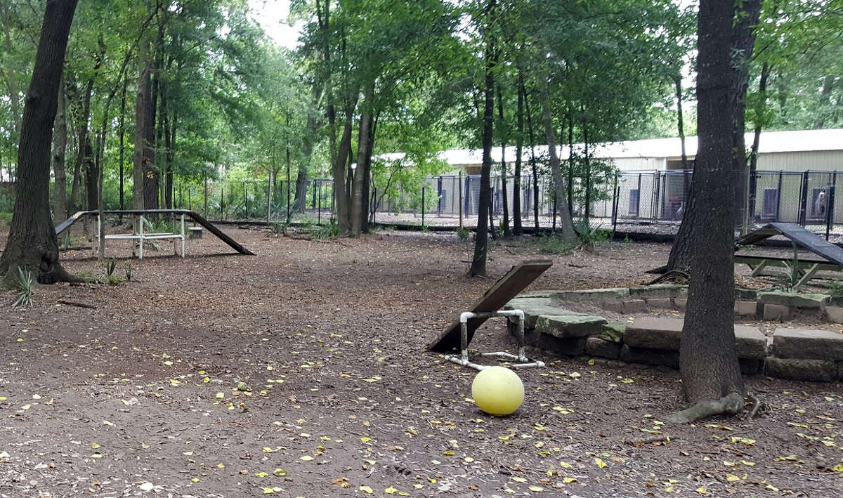 New Kingwood dog park options explored by KSA Parks Committee