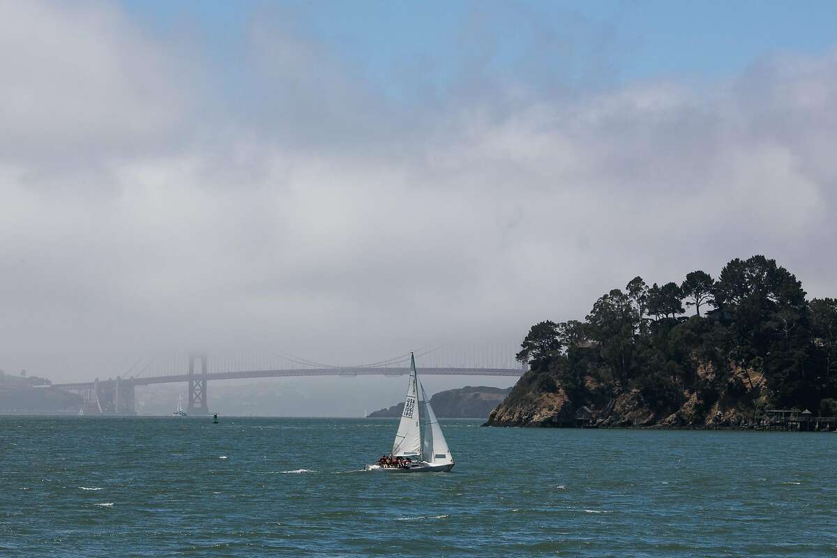 A sail boat sails past Belvedere Cove in Tiburn, Calif. Friday, July 14, 2017.
