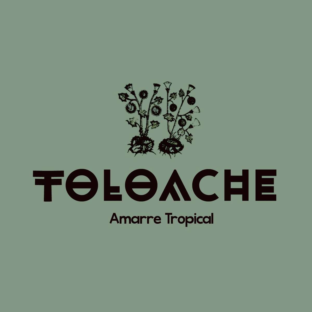 Toloache's seven-track EP, titled Amarre Tropical, will be released Saturday night at Club Boogaloo. 