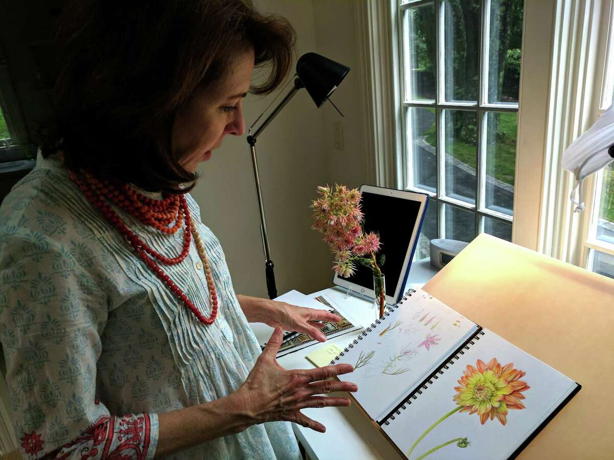 Jeanne Reiner stands over her drawing desk at her Greenwich studio. For her botanical art drawings she must dissect flowers piece by piece to accurately depict them.