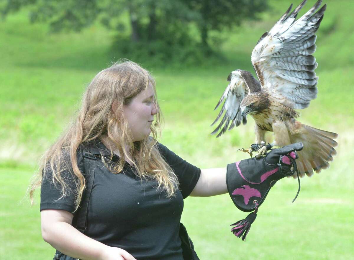 Weston's Christine Peyreigne has her three year old Red tailed Hawk Theron ready to to fly during a program about the sport and science of Falconry at Lachat Town Farm on Sunday July 16, 2017 in Weston Conn. Peyreigne is the state's youngest and only female General Class Falconer and uses her birds of prey, including Milo, a Harris Hawk for hunting