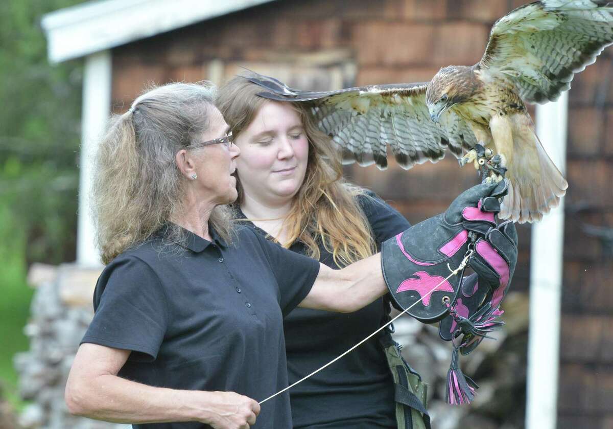 Christine Peyreigne and her mom Betsy try to get her three year old Red tailed Hawk Theron ready to to fly during a program at Lachat Town Farm on Sunday July 16, 2017 in Weston Conn. Peyreigne is the state's youngest and only female General Class Falconer and uses her birds of prey, including Milo, a Harris Hawk for hunting