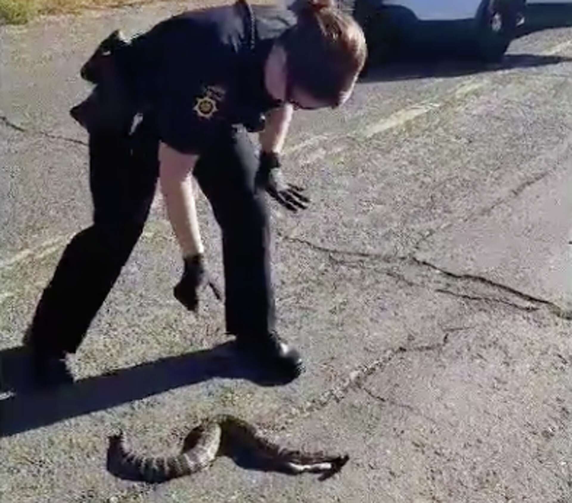 Squeamish Solano County coroner struggling to pick up dead snake goes viral