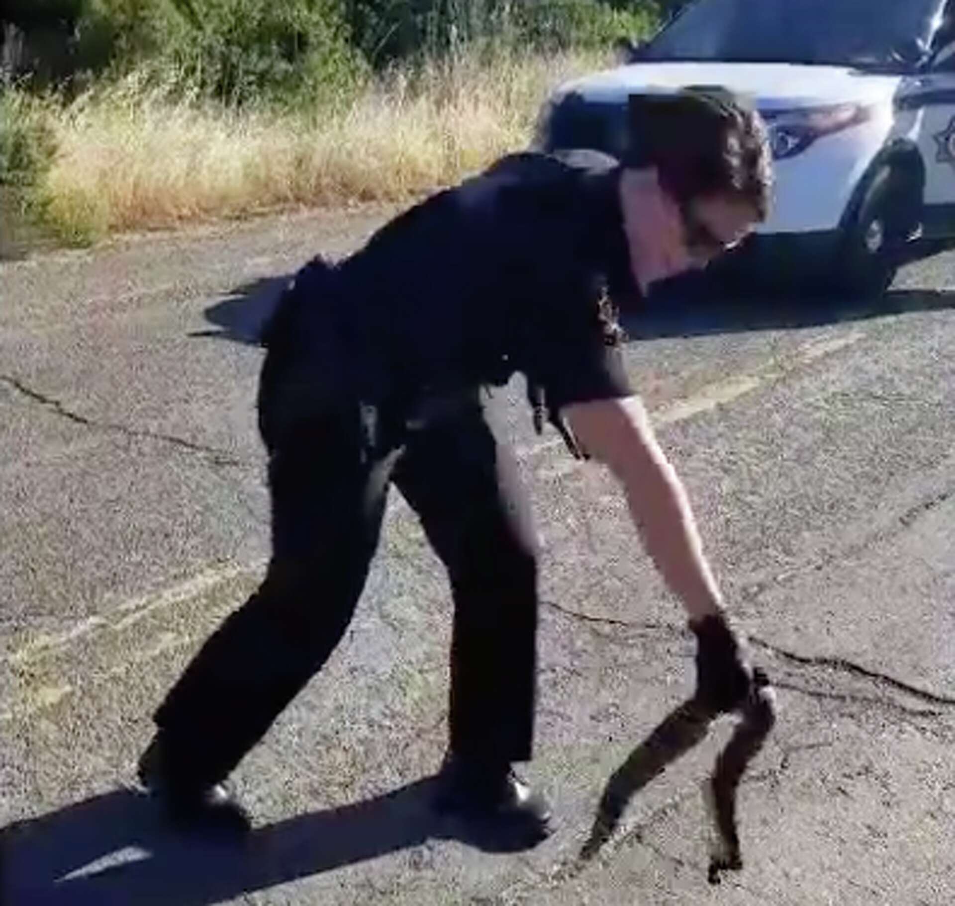 Squeamish Solano County coroner struggling to pick up dead snake goes viral