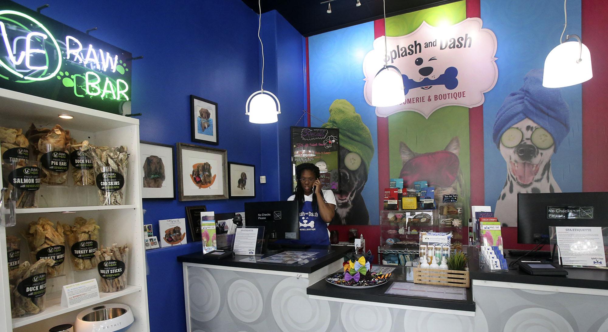 Readers name Splash and Dash Best Dog Groomer in S.A