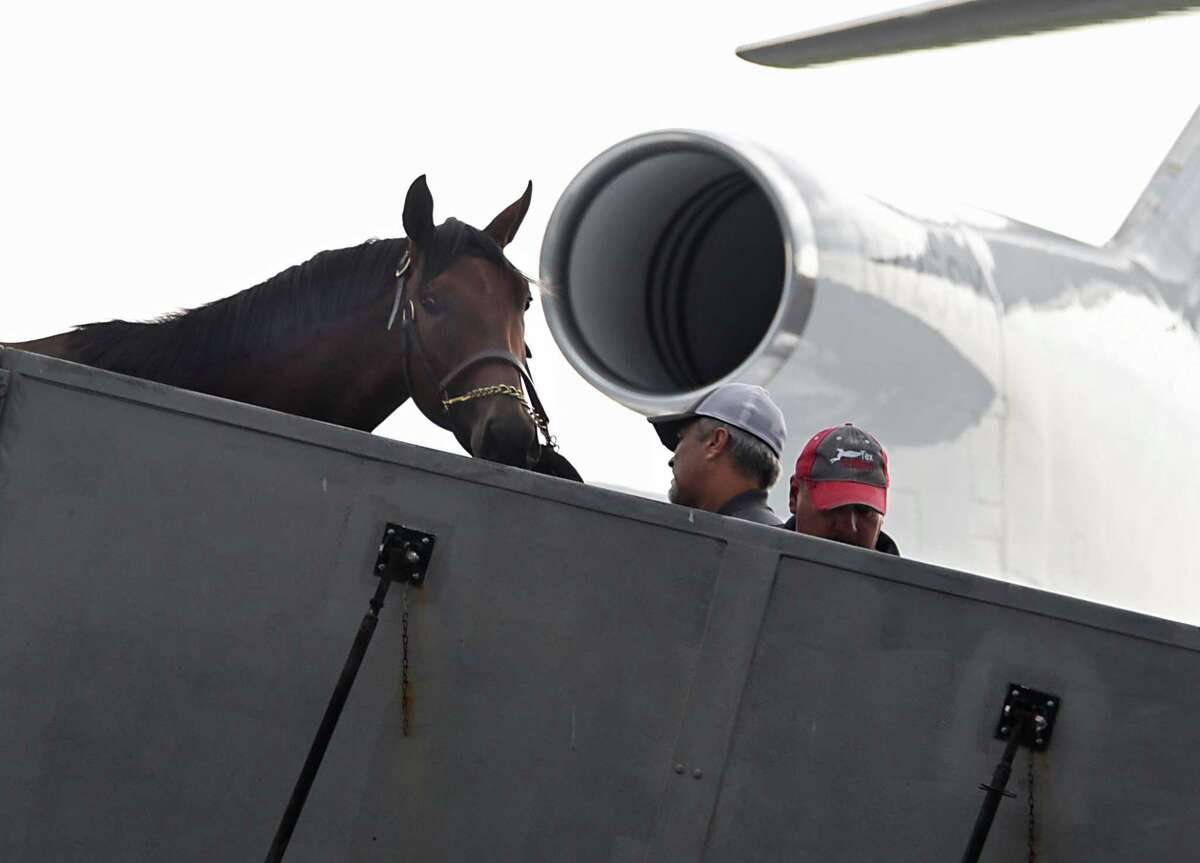 Photos Horses arrive at airport