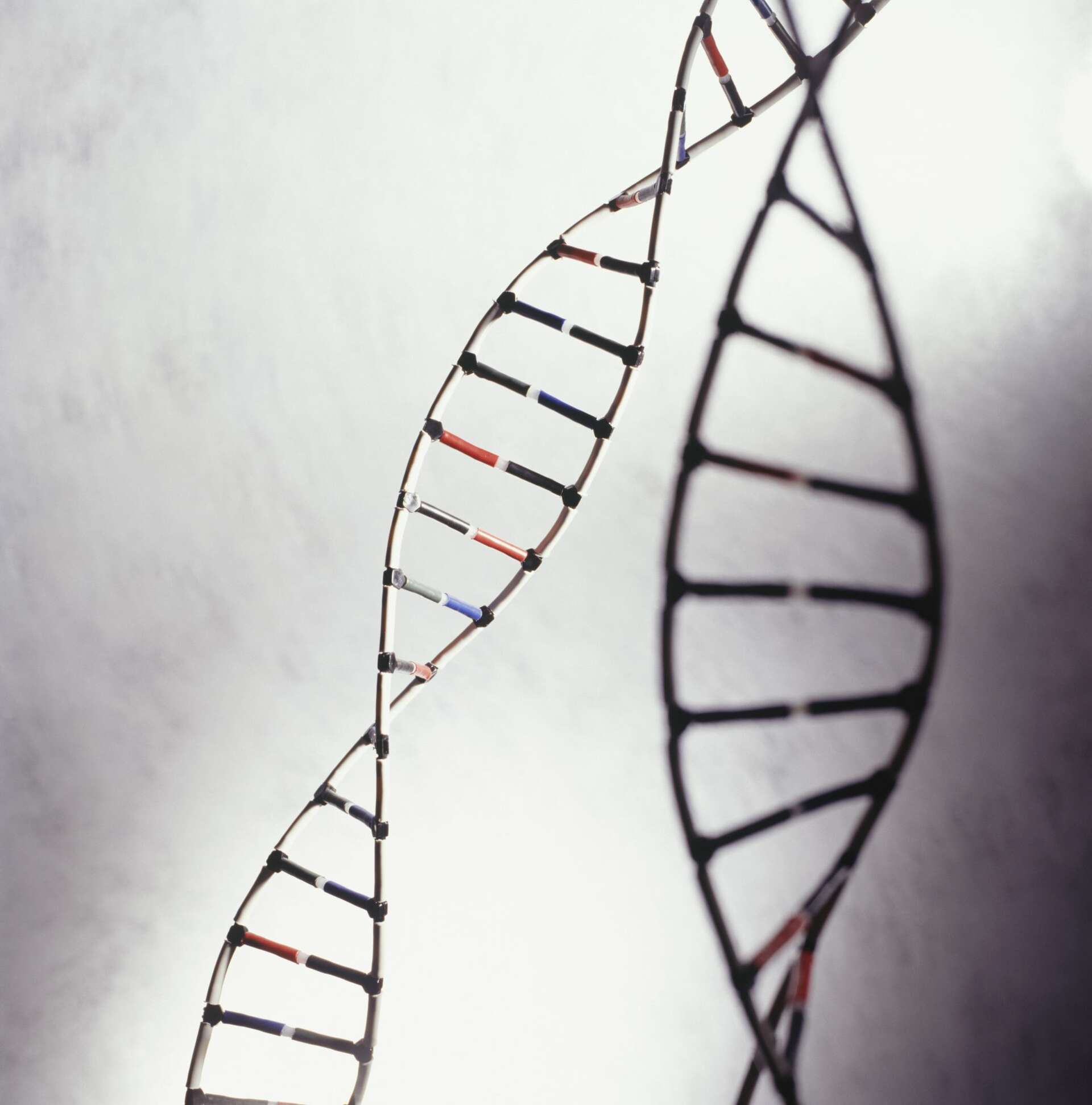 UCSF researchers prove genetics allow some people to function on less ...