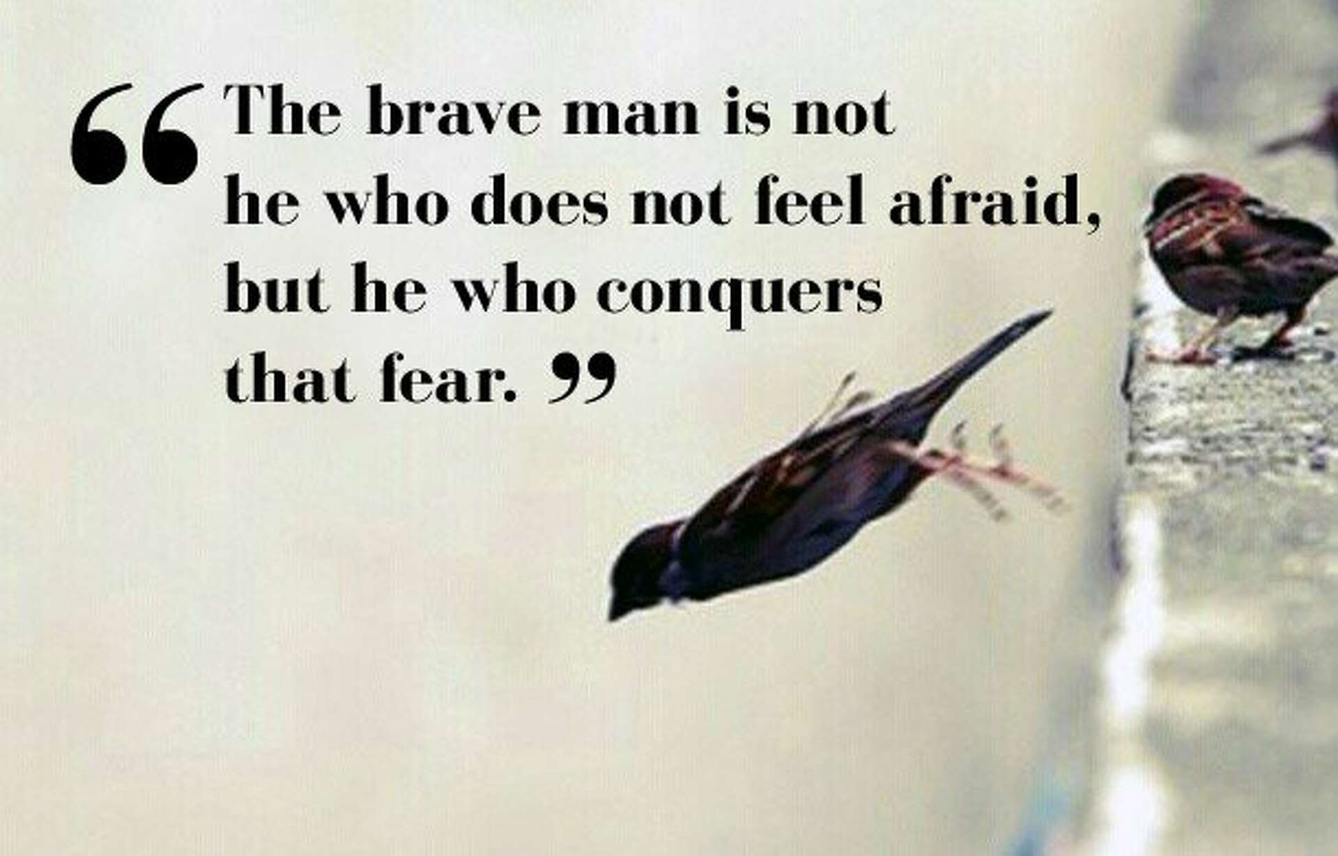 8 Inspirational Quotes on Leadership, Courage and Success From Nelson  Mandela, image size:1920x1228