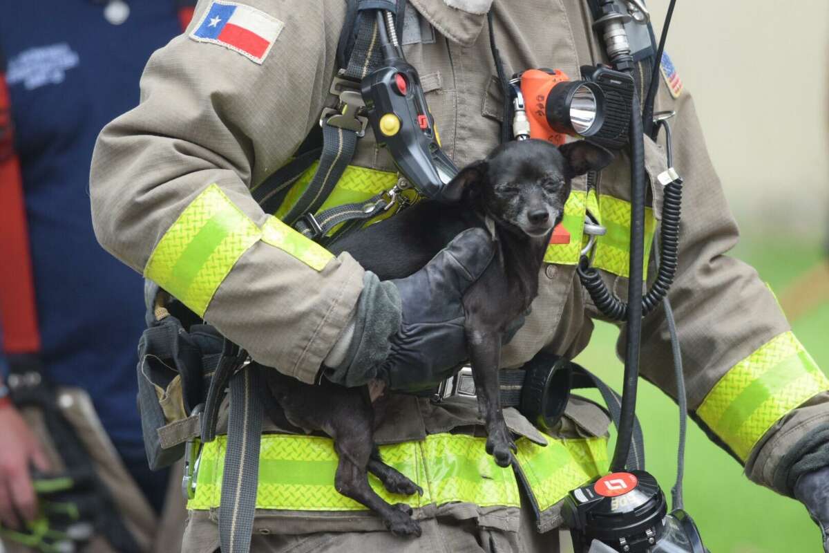 Firefighters on last June saved a woman's dog from a fire at a Southeast Side home. The American Red Cross is looking for 500 volunteers to install 1,000 smoke alarms Oct. 14 in houses that don’t have them.