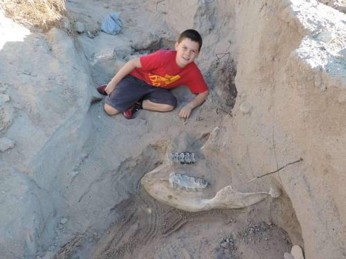 Jude Sparks poses with the jawbone of a stegamastodon, an ancient ancestor of the elephant, that he discovered while hiking in the desert in Las Cruces with his family. The Sparks family contacted NMSU biology professor Peter Houde, who enlisted students to help dig up the fossil in May. 