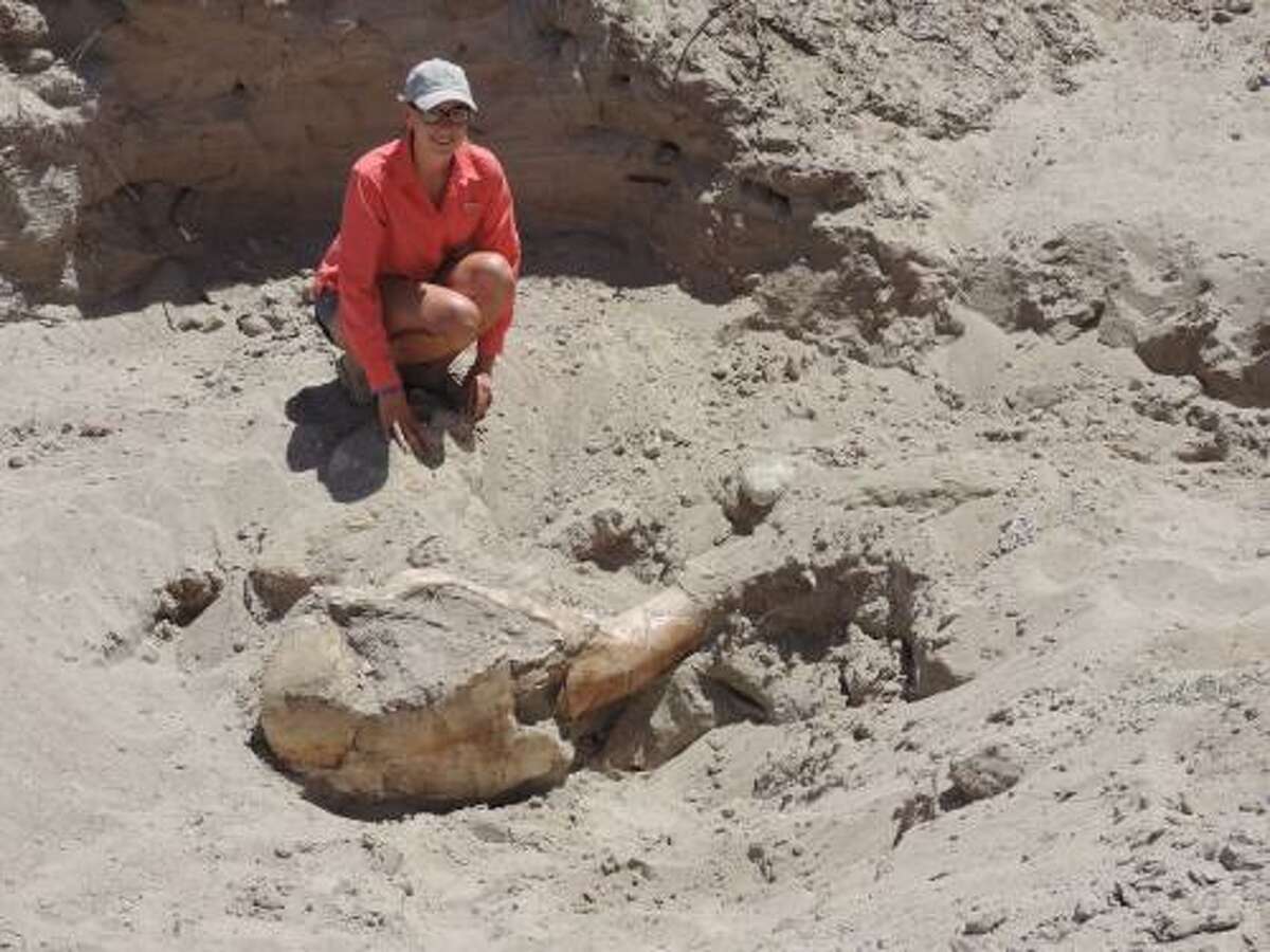 9-year-old's stumble leads to million-year-old fossil discovery