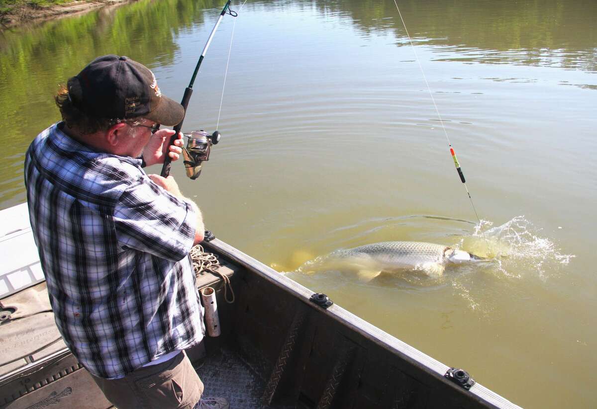 Alligator gar are Texas angling's rising star