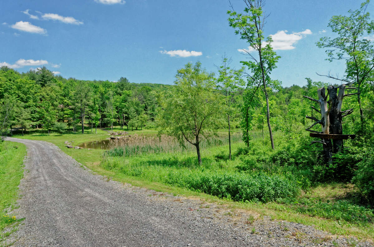 House of the Week Contemporary in Berne