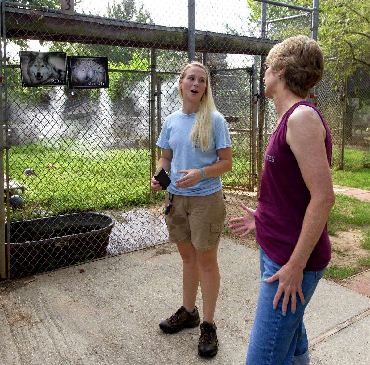 Brittany McDonald, new manager at Saint Francis Wolf Sanctuary, chats with volunteer Sharon Dalton, Friday, July 21, 2017, in Montgomery. McDonald is still meeting several of the 30 volunteers that help run the sanctuary which provides a permanent home for 16 non-releasable wolves and wolfdogs, in addition to educating the public about wolves, conservation and other related issues.