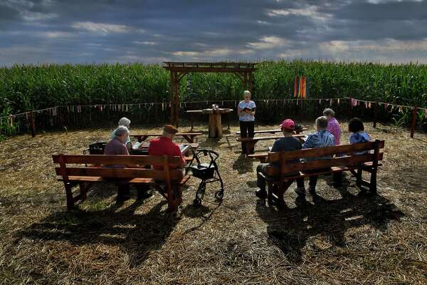 Columbia County Cornfield Note Card