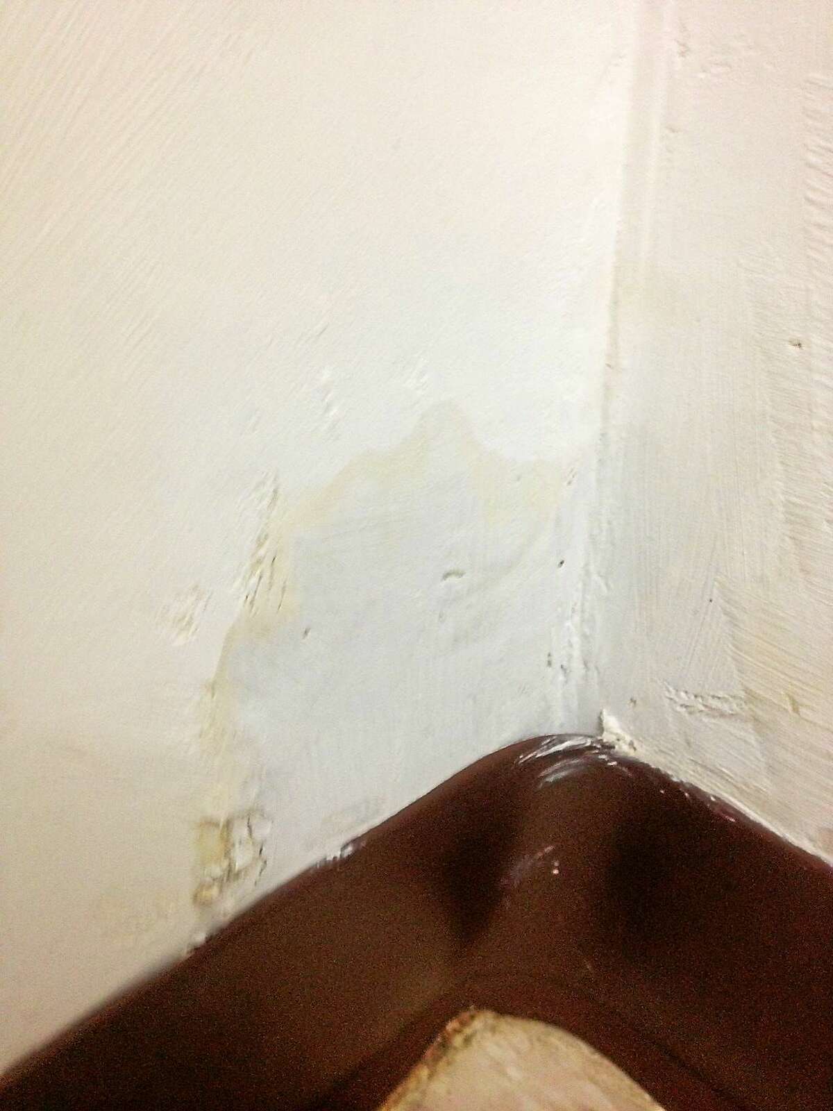 Wet patch in Laynette DelHoyo's bathroom after room recently repaired.