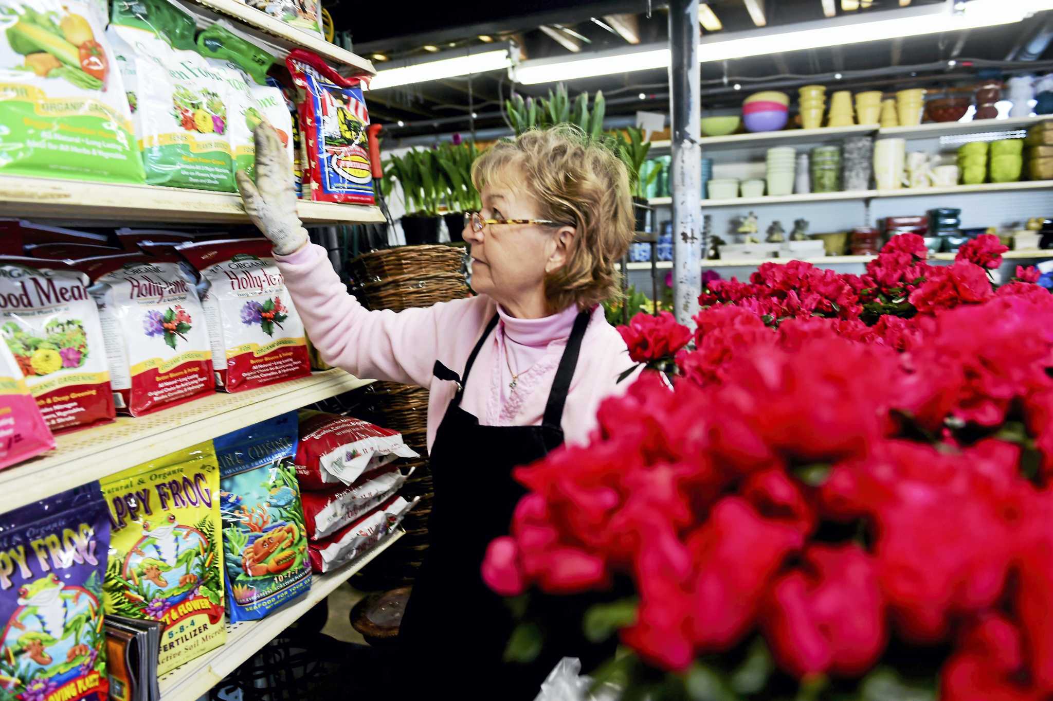 Shelley's Garden Center in Branford closes after 74 years - Vimarsana News