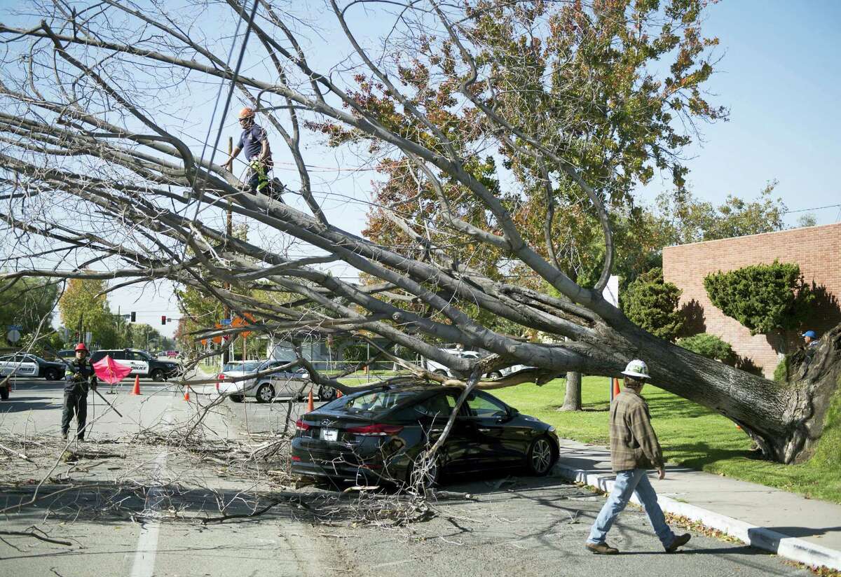 Crews work to clear a fallen tree off a teachers' car outside Orange High School in Orange, Calif., Friday, Dec. 2, 2016. Cold Santa Ana winds swept across Southern California on Friday, raising danger of wildfires and toppling trees onto cars, at least one home and onto a busy freeway just ahead of rush hour. (Kevin Sullivan/The Orange County Register via AP)
