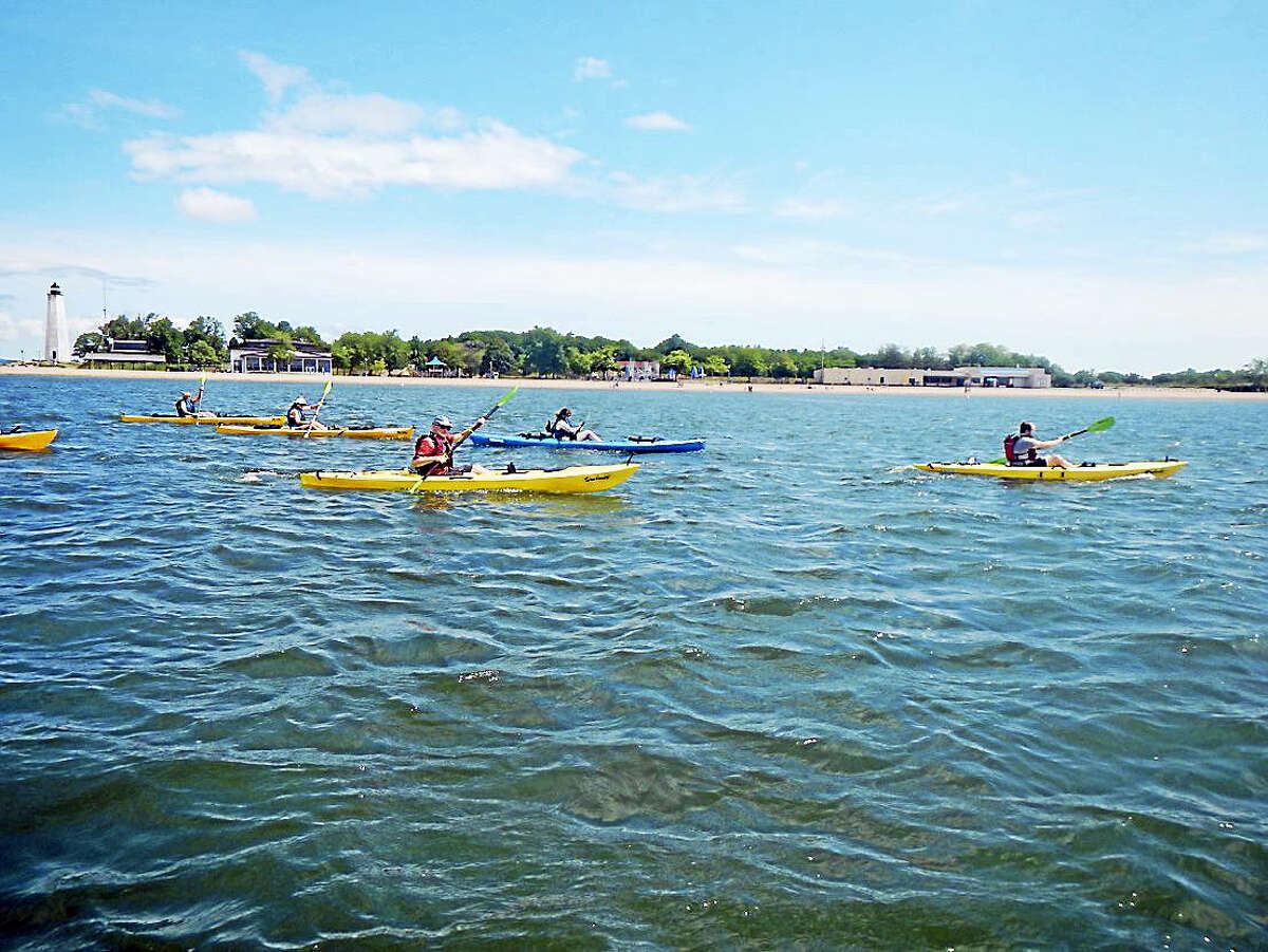 new haven parks and rec