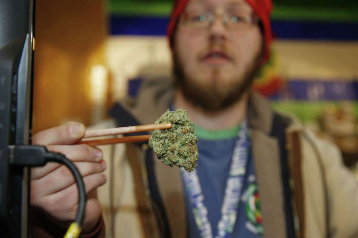 David Zalubowski/ the associated Sales associate Matt Hart uses a pair of chopsticks to hold a bud of Lemon Skunk, the strain of highest potency available at the 3D Dispensary, in Denver.