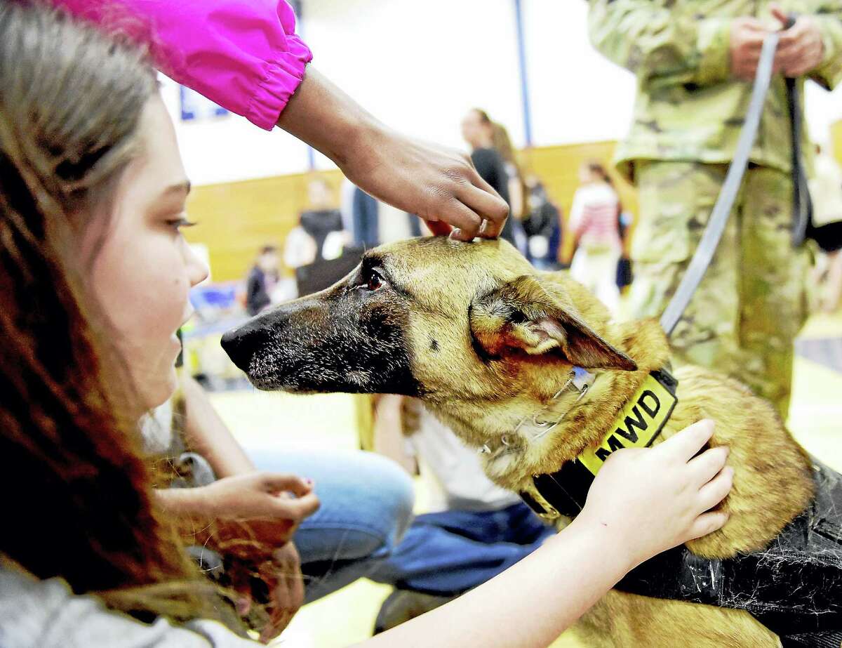 Melissa Pope of Hamden, 13, left, pets U.S. Army Military Working Dog Balou, a Belgian Malinois handled by Army Sgt. Christopher Rufini during the town’s Veterans Awareness Day, sponsored by the Hamden Veterans Commission Wednesday at Quinnipiac University. See story, A4