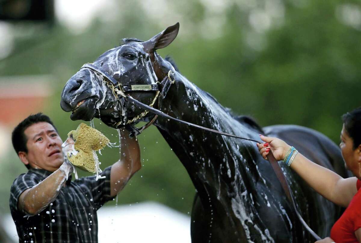 Kentucky Derby winner Always Dreaming is washed after a walk on the track at Pimlico Race Course in Baltimore, Friday. The Preakness Stakes horse race is scheduled to take place Saturday.