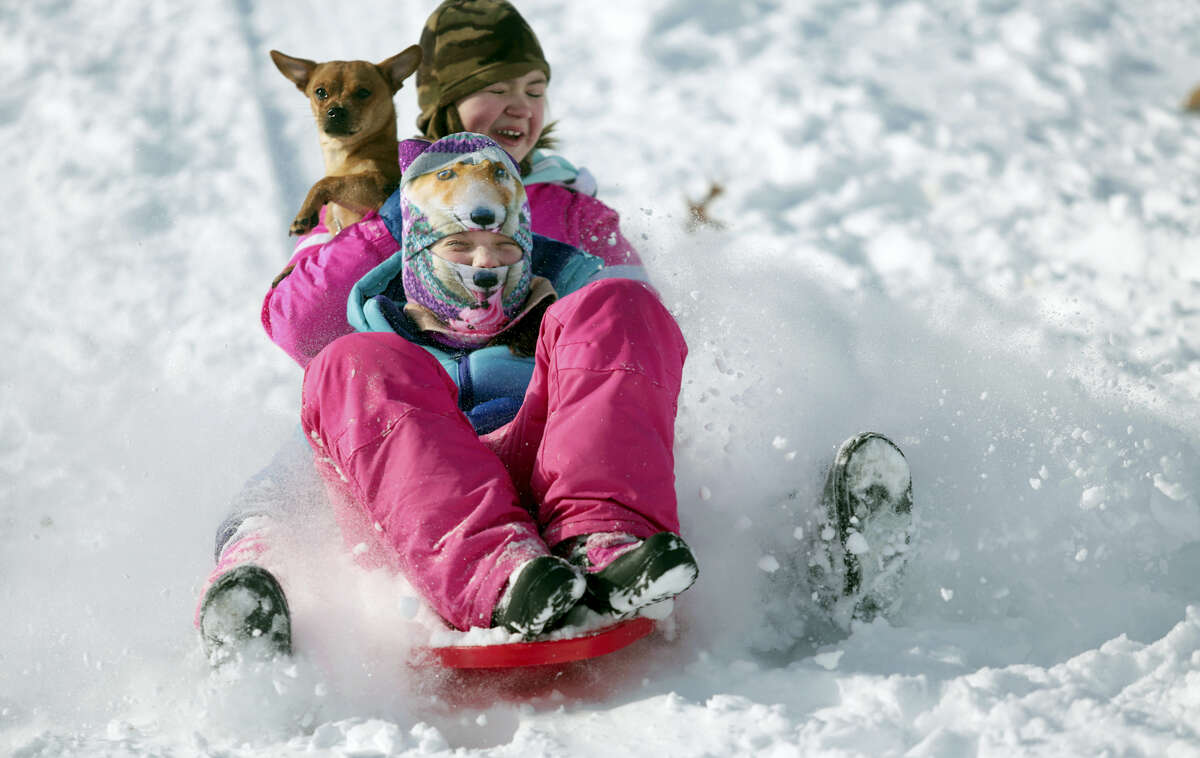 Samantha Kizlowski, front, 10, Cadence Ambrose, 11, and Max the dog sled down a hill in McDade Park in Scranton, Pa., on Thursday, Feb. 9, 2017.