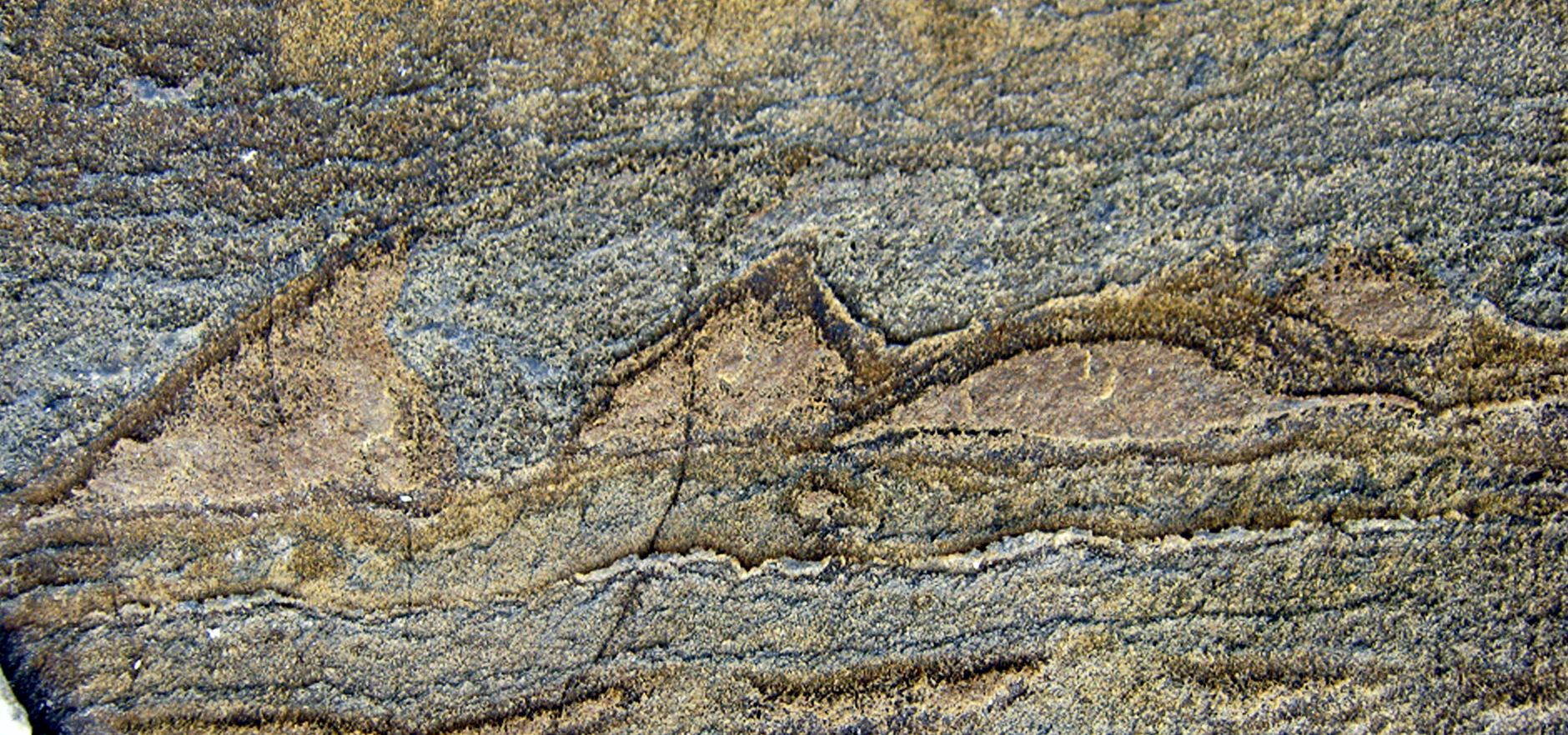 Scientists find what may be oldest fossil on Earth in Greenland
