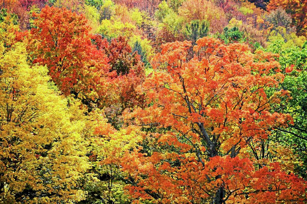Connecticut fall foliage season Interactive map shows best leaf