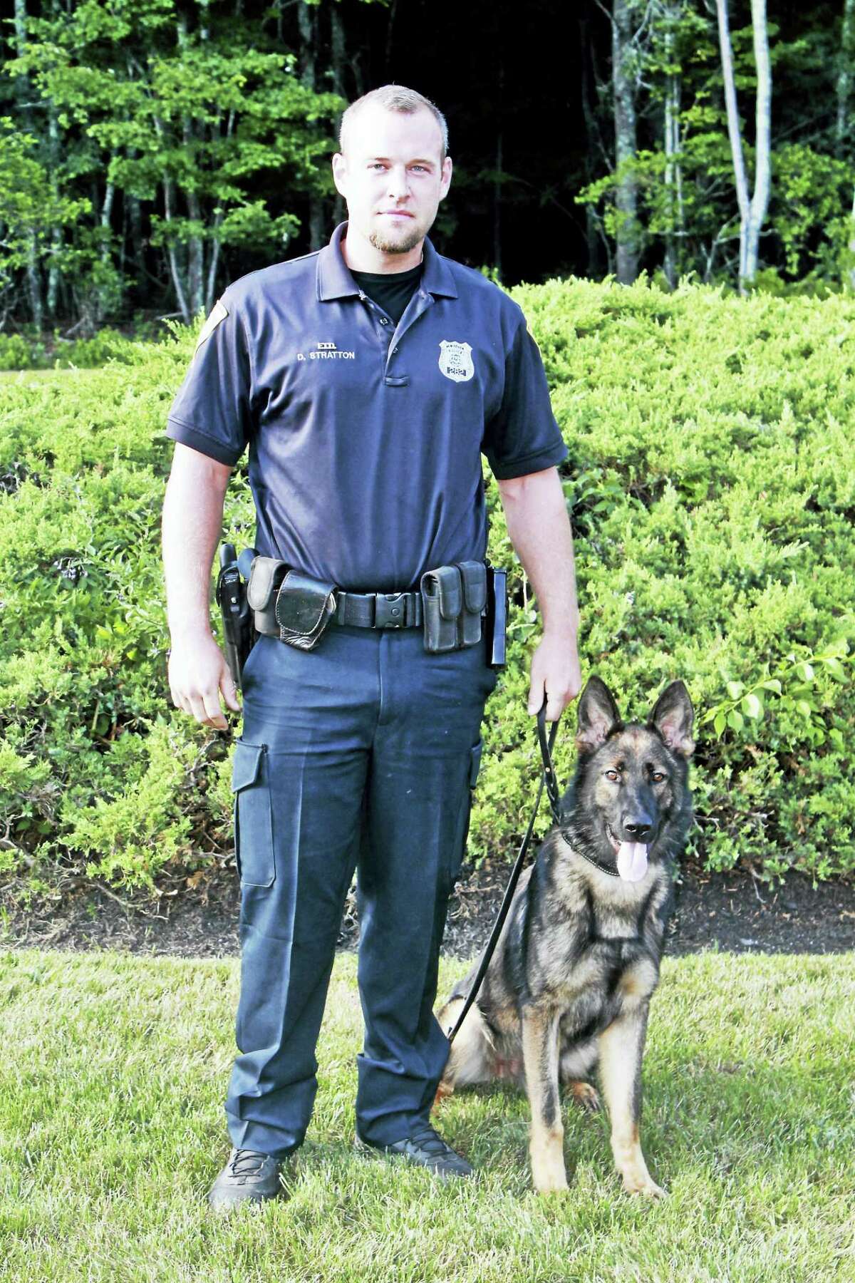 New Haven police Officer Dave Stratton and his police dog Atos, one of the department’s patrol division canines.