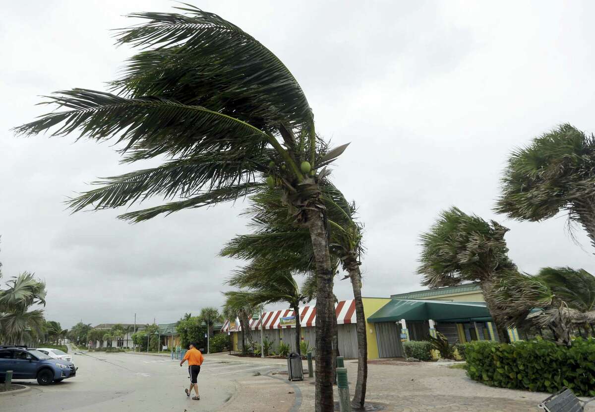 Palm trees sway in high gusts of wind, Thursday, Oct. 6, 2016, in Vero Beach, Fla. Hurricane Matthew continues to make a path for Florida’s east coast from the Bahamas.