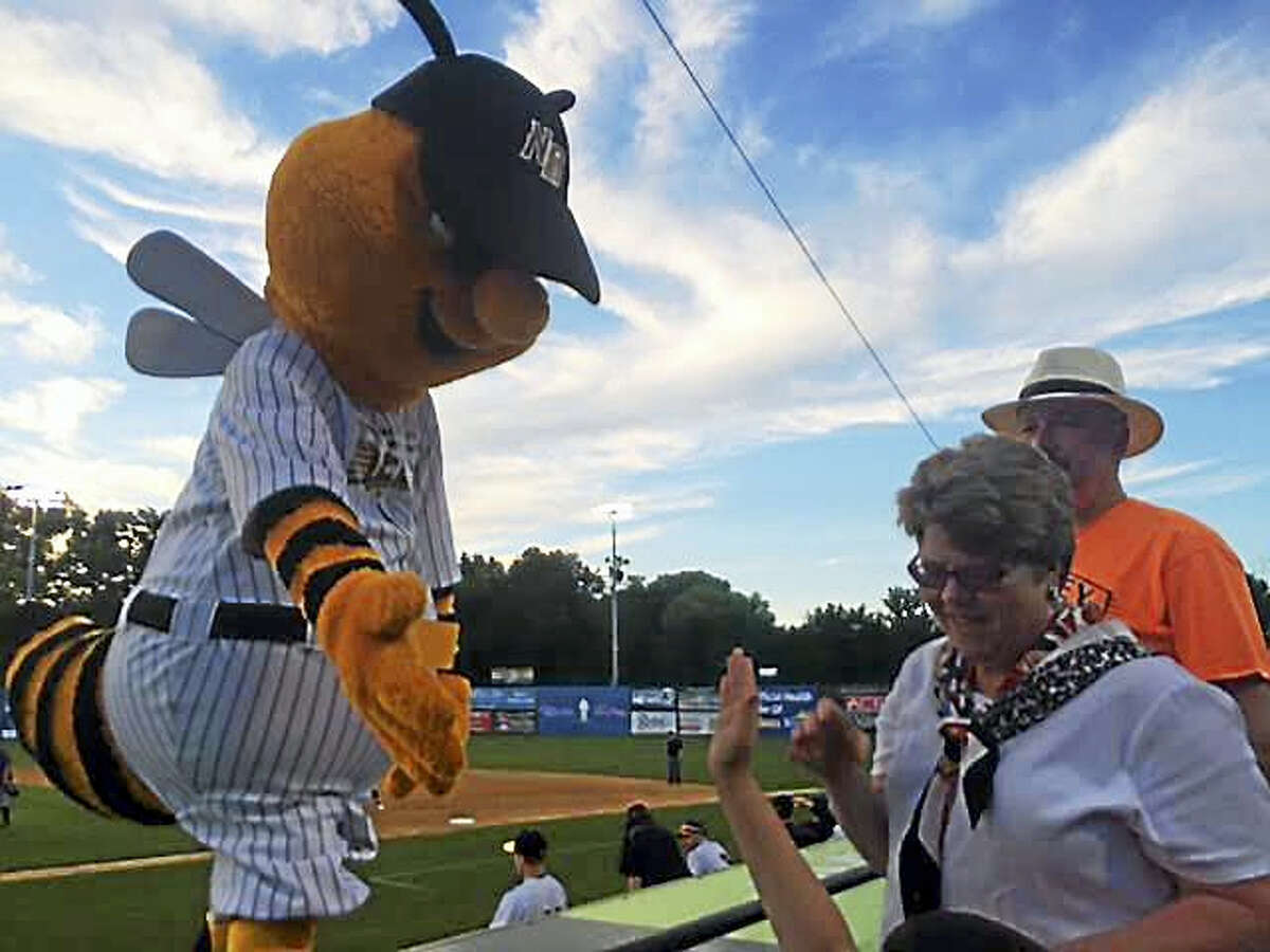 Sting, the mascot for the new independent league New Britain Bees, engages with fans at a recent game.