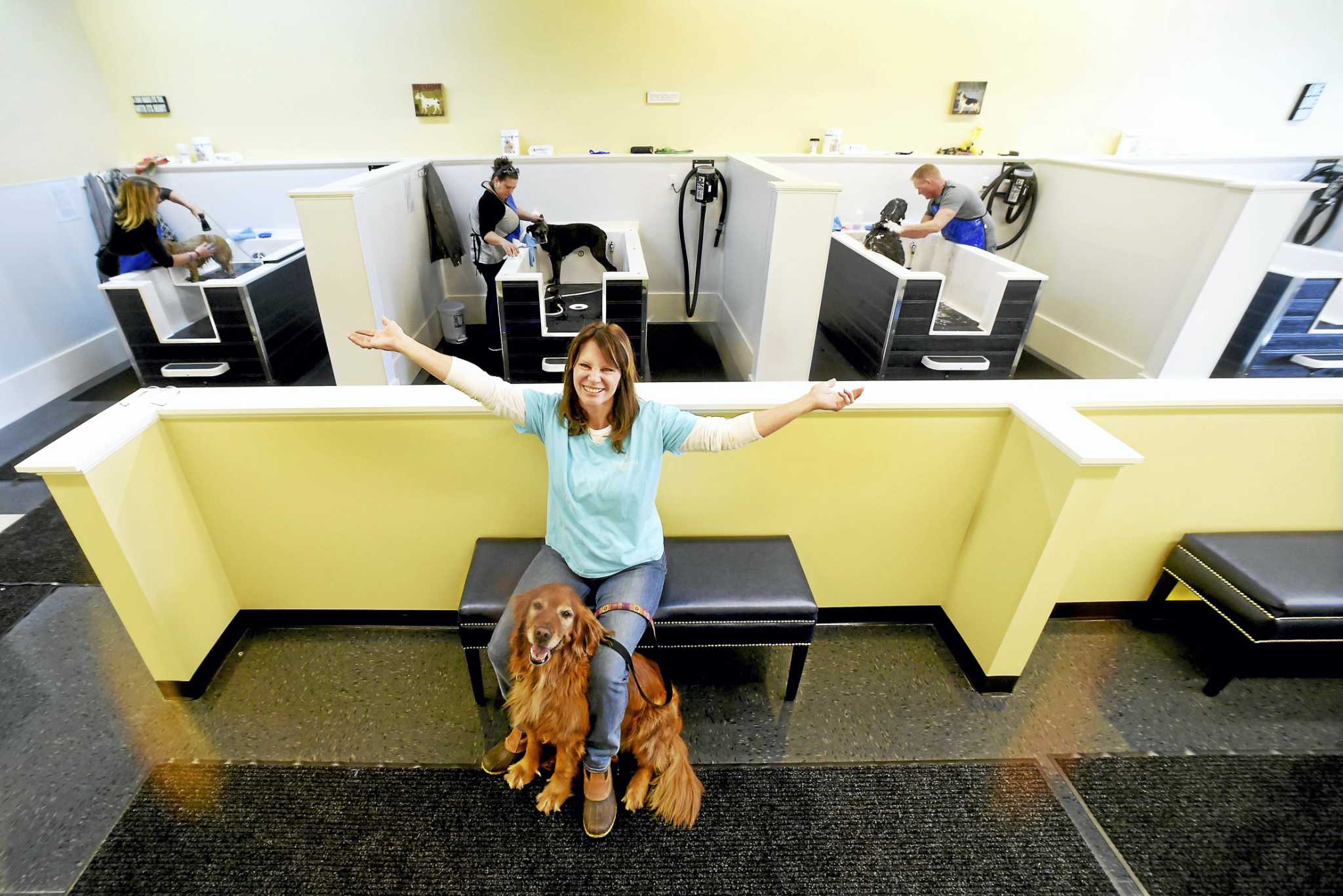 Dog ‘laundromat’ to open Tuesday in Milford
