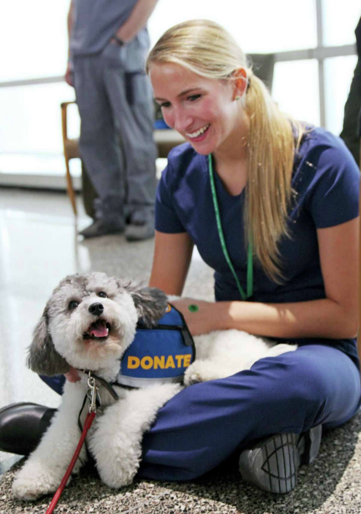 Medical assistant Loren White pets Minnie, a Labradoodle mix at Rush University Medical Center in Chicago.