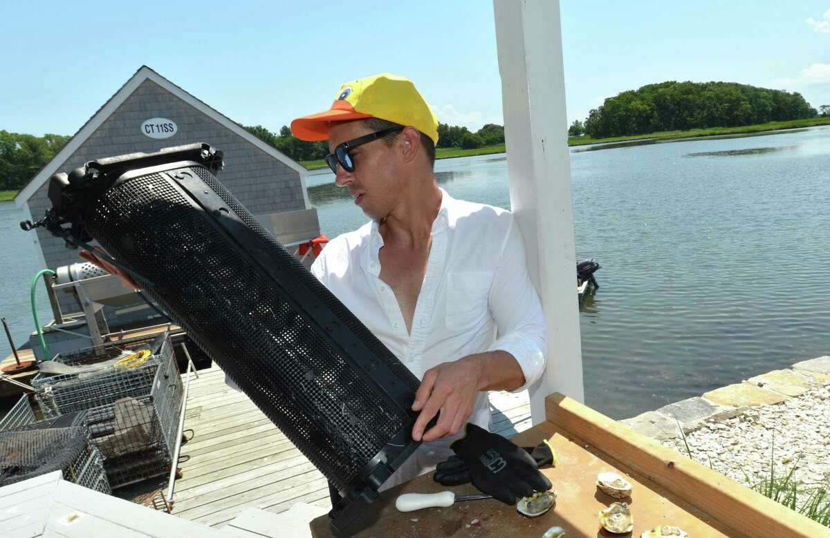 New operation grows shellfish fast on Westport's Mill Pond