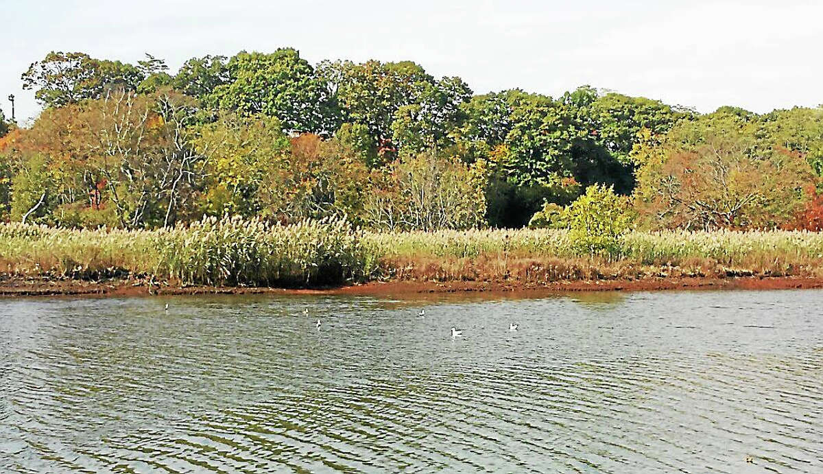 Connecticut Fund for the Environment’s Save the Sound launched the West River Watershed Management Plan to provide recommendations on how to restore the polluted and damaged watershed.
