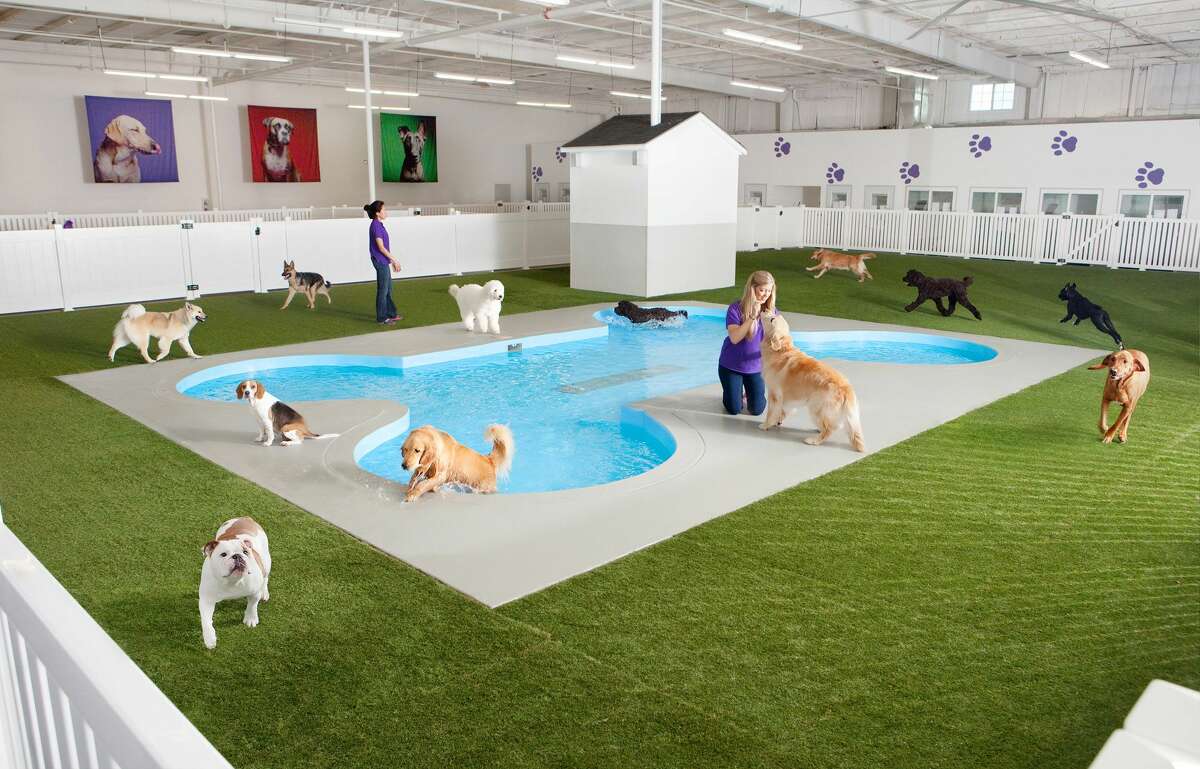 This undated artist rendering provided by Classic Communications courtesy of ARK Development depicts Paradise 4 Paws, a holding area for dogs in a new luxury terminal at New York’s John F. Kennedy International Airport.