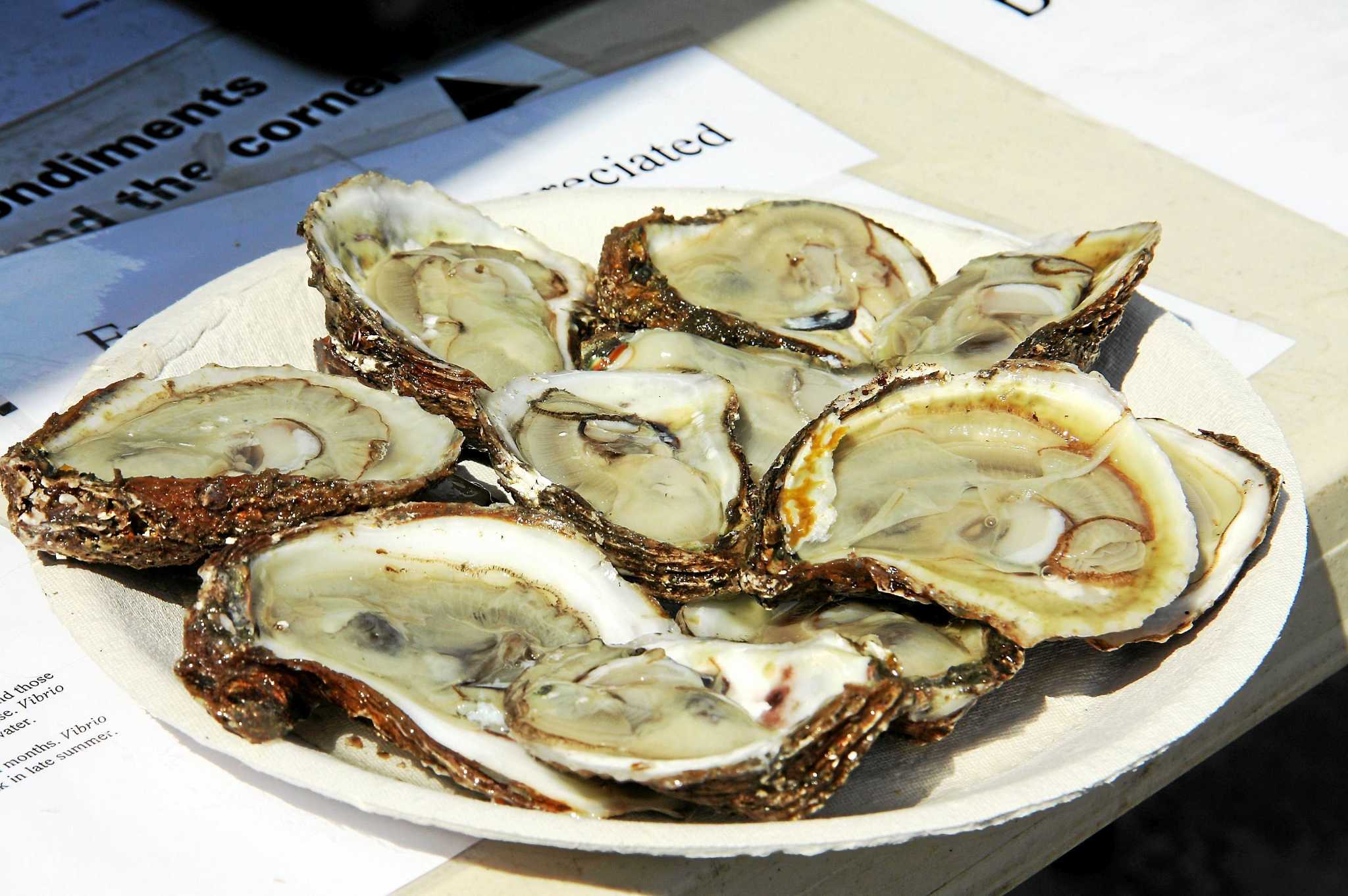 Milford set for 41st annual Oyster Fest Friday, Saturday