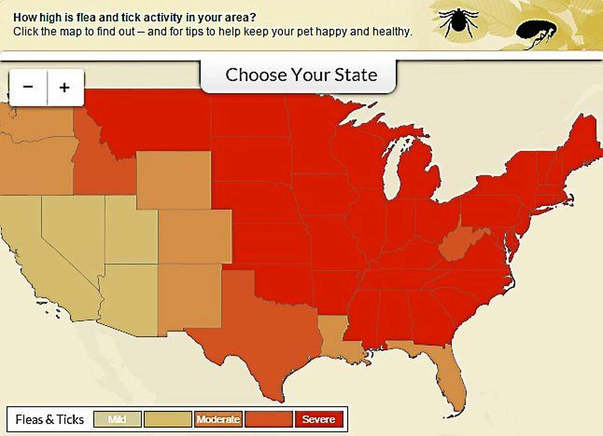 WebMD interactive map displays US flea and tick activity in real time