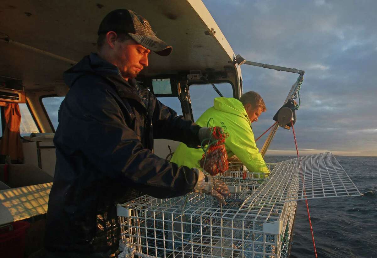 In this July 2014 file photo, sternman Brandon Demmons, left, places a bait bag containing herring into a lobster trap while fishing off Monhegan Island, Maine.