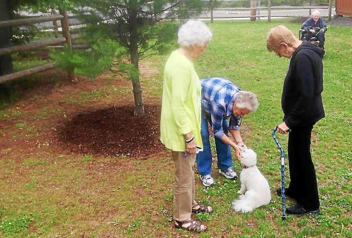 KATE RAMUNNI — NEW HAVEN REGISTER Whitney Center residents Letty Caplan, right, her sister Joan Stone, center, and Mary Alice Frankenburger in the center’s new dog park Tuesday with Caplan’s dog Banjo.