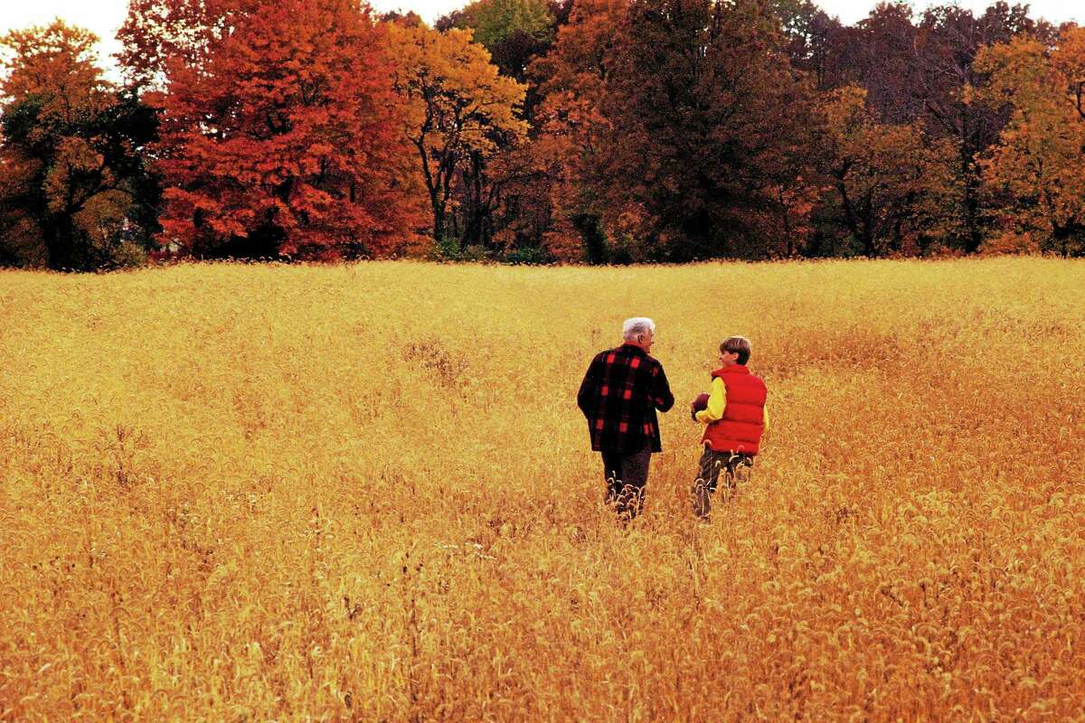 Grandfather and grandson walking in field
